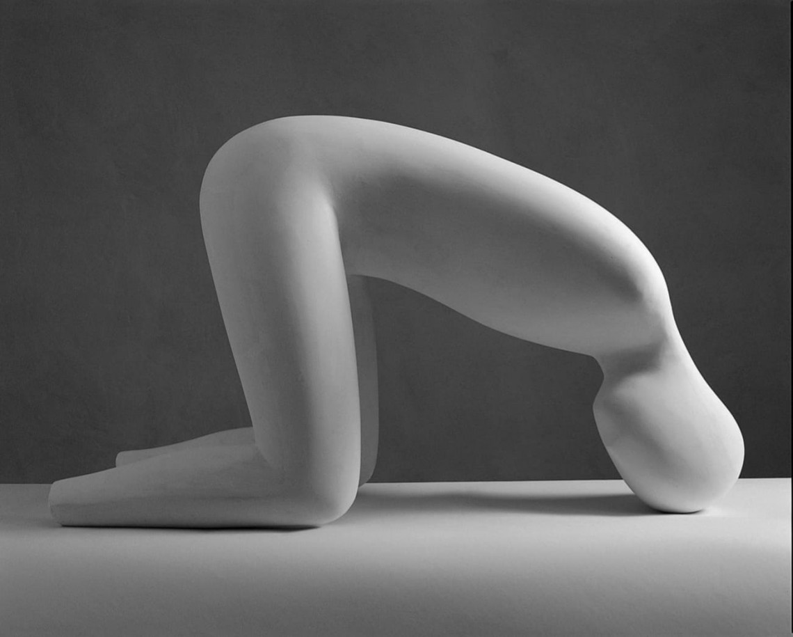 Foto evento viviroma