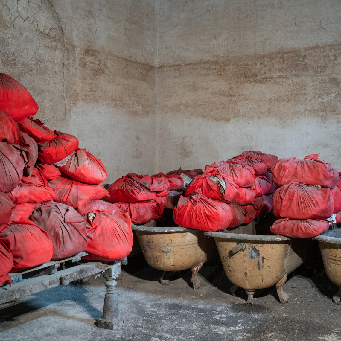 Foto evento viviroma