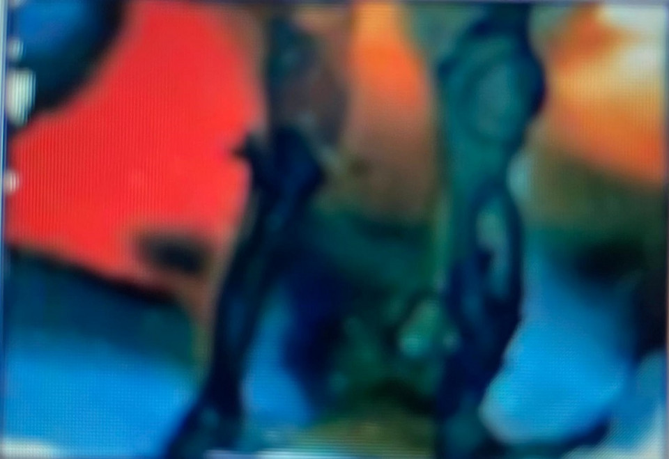 Alcune delle opere in mostra alla galleria Gard nell'esposizione NO WAR  - Battaglia